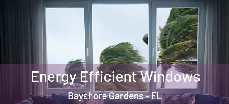  Energy Efficient Windows Bayshore Gardens - FL
