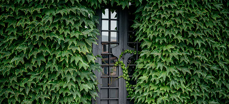 Garden Gate Repair in Bayshore Gardens, FL