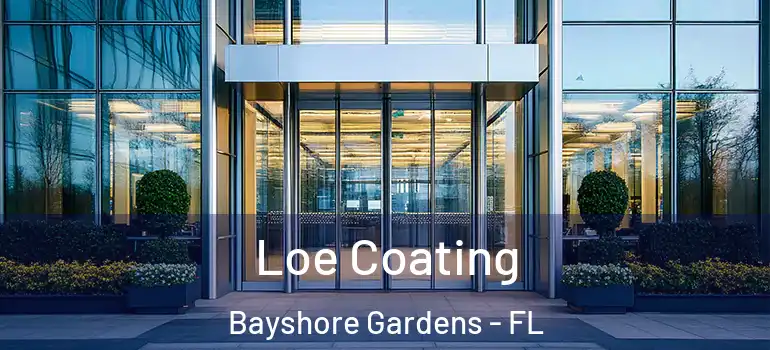  Loe Coating Bayshore Gardens - FL