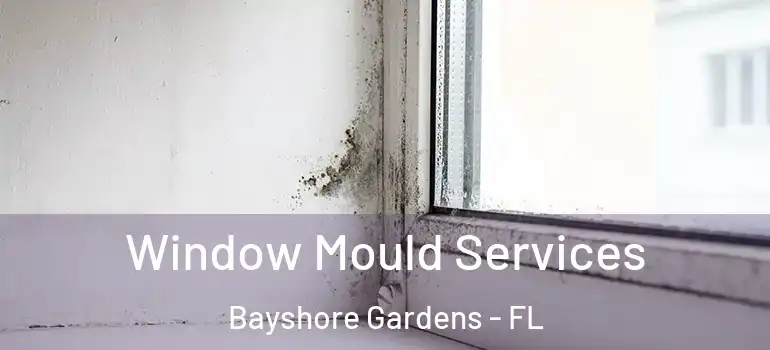  Window Mould Services Bayshore Gardens - FL